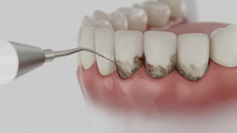 Reliable Dental contractor in Camden, SC by Dentist Open Now
